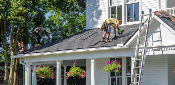 Best Gutter Installation and Roofing  in Malone, FL