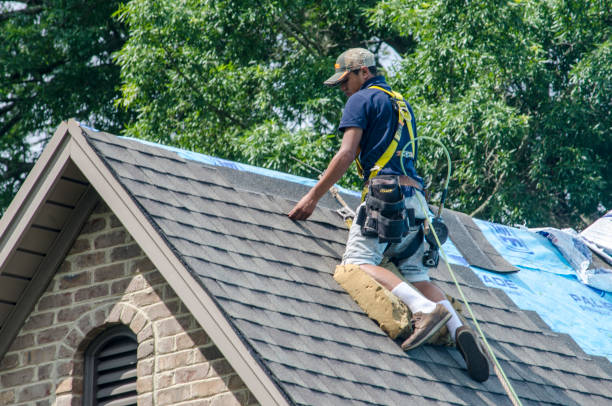 Best Residential Roofing Contractor  in Malone, FL